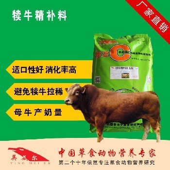 育肥牛高效饲喂方案 以30%肉牛浓缩饲料为核心的科学配料与饲喂方法