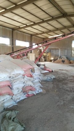 临朐县永华饲料厂优质原料优惠出售，助力养殖降本增效