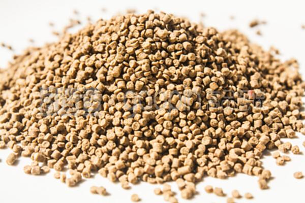 虾饲料 水产养殖的关键要素与科学投喂指南